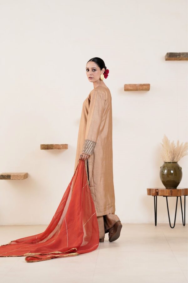 Hand embroidered Tussar Silk- Cotton Straight Kurta with Side pockets and Palazzo with Rust color organza Dupatta-Set of 3 - Image 4